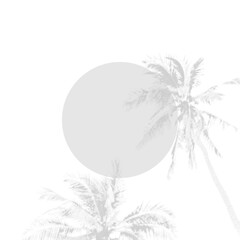 Palm tree silhouette on white background with white circle. Vector illustration.