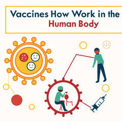 Infographic on how vaccines work in the human body generated by ai