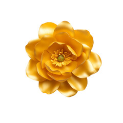 Vibrant yellow rose with detailed petals on black background