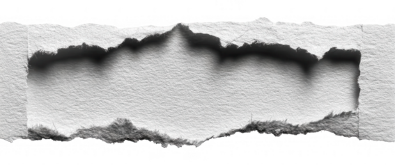 Ripped paper texture