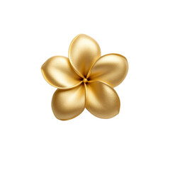 Elegant golden frangipani blossom isolated on black background