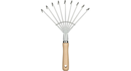 Isolated Metal Rake