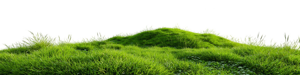 Lush green grassy hill
