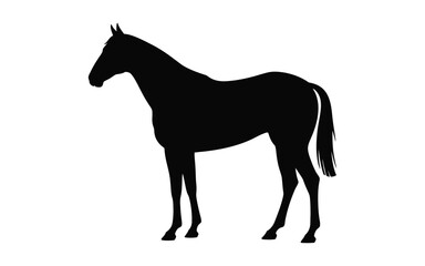 Silhouette of a majestic horse standing proudly against a white background