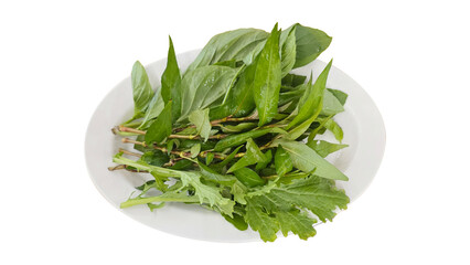 Fresh Thai herbs and leafy greens on plate 