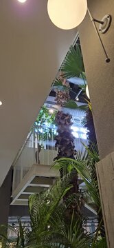 Lush tropical vegetation