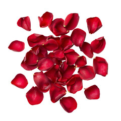 Red rose petals falling on black background