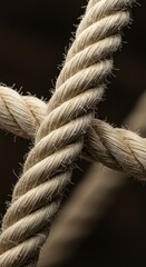 Intertwined Rope Close-up