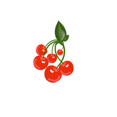 Cherry tomatoes on a branch with green leaves isolated on white background