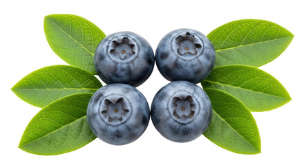 Isolated Fresh Blueberries with Leaves