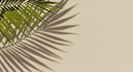 Fototapeta premium Palm Leaf Shadow on Fabric for Label