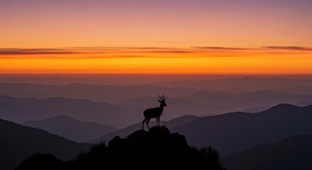 Fototapeta premium Deer on Mountain Peak at Dawn