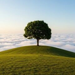 Fototapeta premium Solitary Tree on Grassy Hill