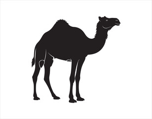 vector graphic featuring a camel silhouette
