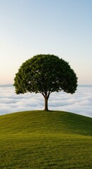 Fototapeta premium Solitary Tree on Grassy Hill