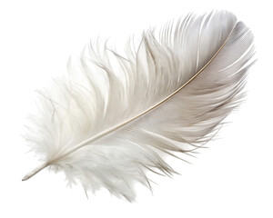 A single white feather isolated -  on a white background.PNG