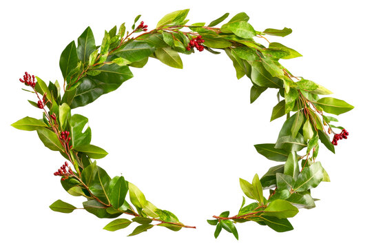 Green leaf and red berry wreath on clear background