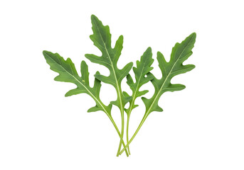 Naklejka premium Fresh arugula leaves arranged artistically for vibrant healthy eating inspiration and culinary design