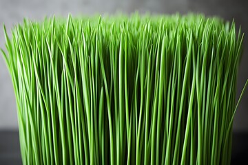 Vibrant Green Grass Blades Close Up Nature Texture