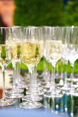 Elegant display of sparkling wine glasses at a garden gathering event