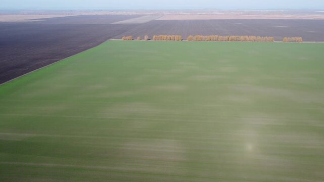 Expansive agricultural terrain: An aerial shot unveils a breathtaking tableau of vast fields, a vibrant panorama of agricultural land. A visual ode to the beauty of nature's canvas