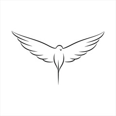 Fototapeta premium Stylized black line drawing of a bird with wide spread wings silhouette line art