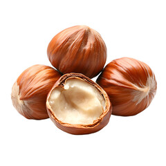 Fresh Hazelnuts on White Background for Culinary Design Projects