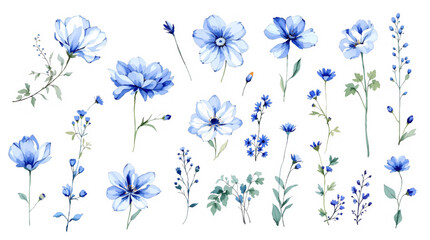 Fototapeta premium blue flowers background