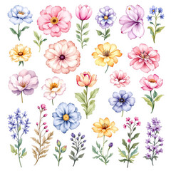 Obraz premium Vibrant set of colorful flowers in a vector illustration featuring various botanical elements for creative designs