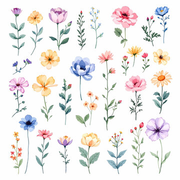 Set with roses and leaves for your design: wedding invitation, card, banner, smm . Watercolor hand drawn illustration on white background