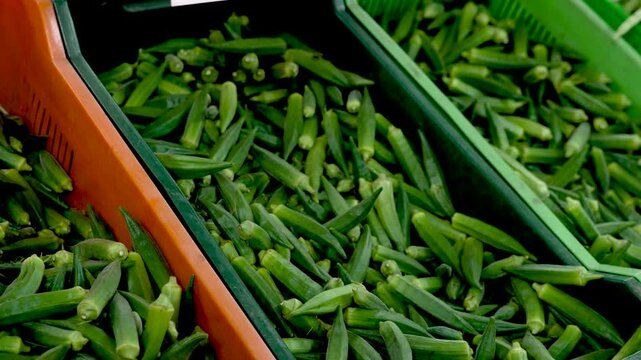 Vibrant green okra fills colorful market bins, showcasing seasonal produce at a bustling local market