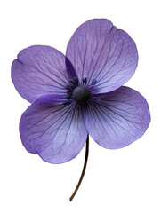 Purple flower with four petals isolated on transparent background