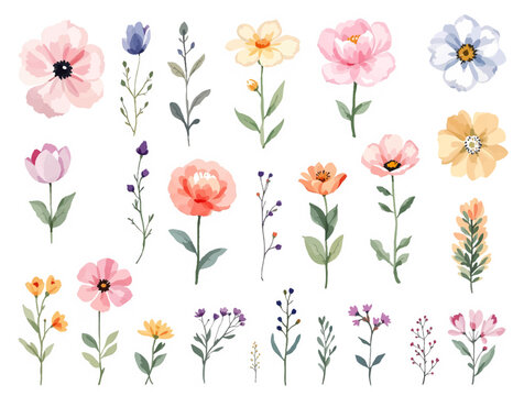 Set with roses and leaves for your design: wedding invitation, card, banner, smm . Watercolor hand drawn illustration on white background
