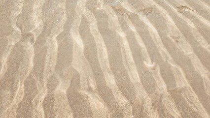 Obraz premium Fine grain sand texture found on coastal areas