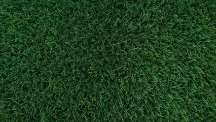Detailed view of vibrant turf field