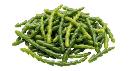 Isolated Samphire