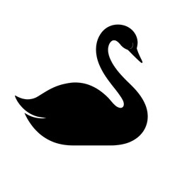 black swan vector illustration silhouette whit white background 