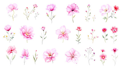 Seamless pink floral pattern with flowers and leaves for spring and summer design
