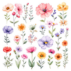 Fototapeta premium Set of colorful floral vector illustrations, seamless pattern of spring and summer flowers isolated on white