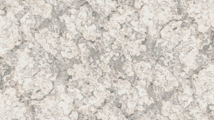 Obraz premium Detailed Stone Pattern in High Resolution