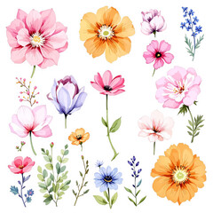 Clipart watercolor flowers
