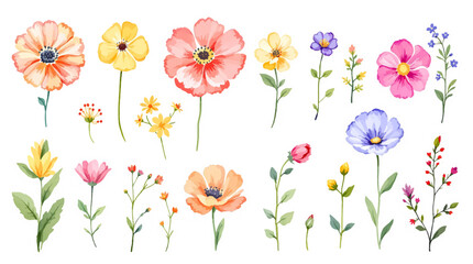 Colorful spring flowers, Set of watercolor flowers, Clipart watercolor flowers	
