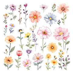 Set of colorful floral elements	