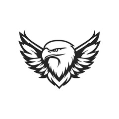 Obraz premium eagle with wings