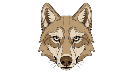 Isolated Wolf Head