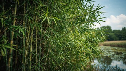 Outdoor growth of vibrant green bamboo