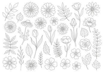 A collection of hand-drawn floral illustrations, including various flowers, leaves, and branches in a delicate line art style.