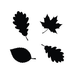 Collection of black autumn leaf silhouettes, various shapes, fall season nature elements, isolated vector set