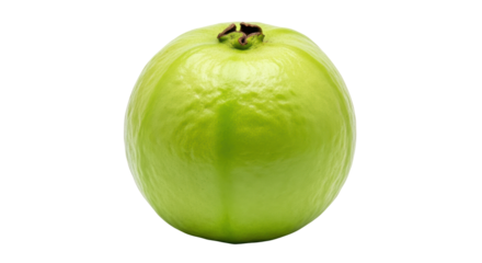 Isolated Green Guava Fruit