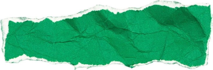 Green textured paper with torn edges isolated on white background for creative design and collage...